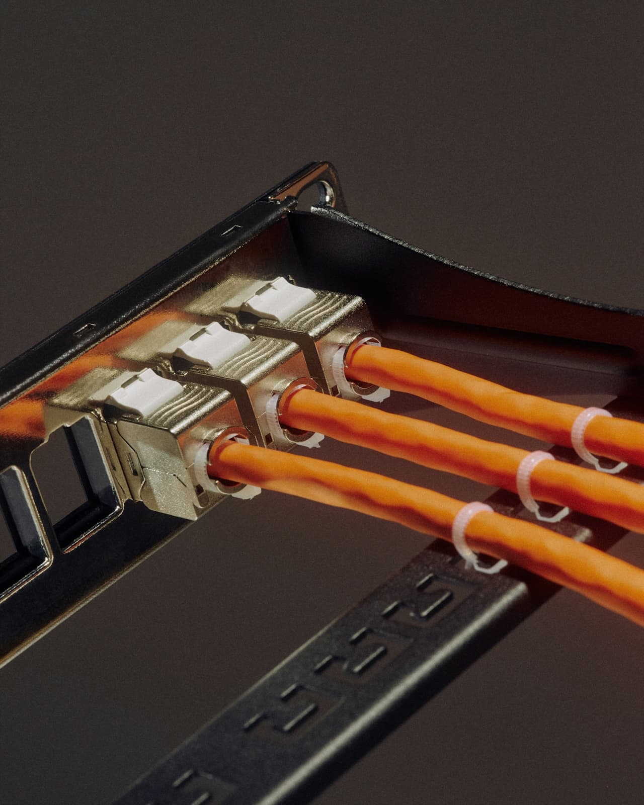 Website hosting